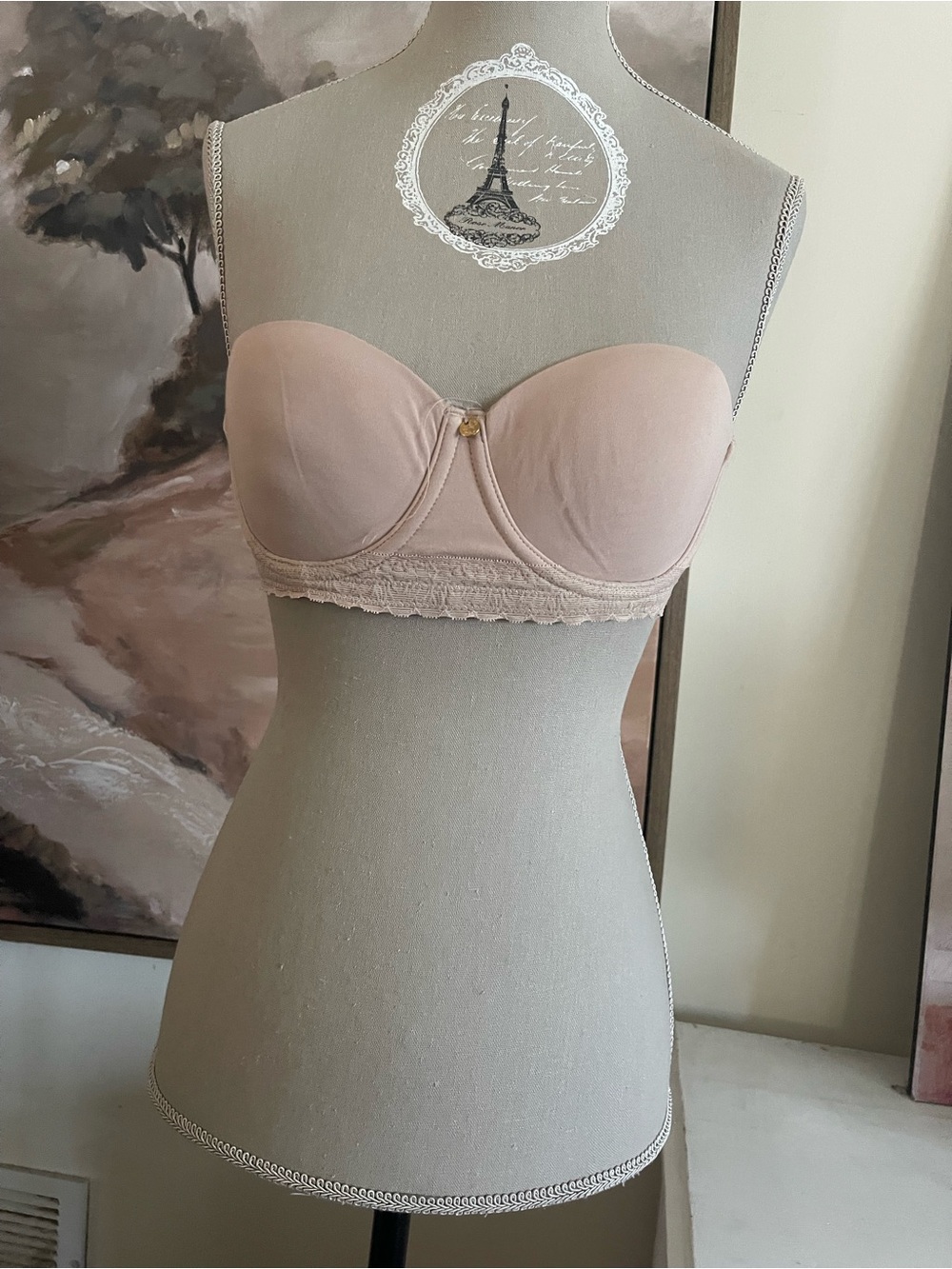 Natori Strapless Lace Bandeau Bra - Rose Nude